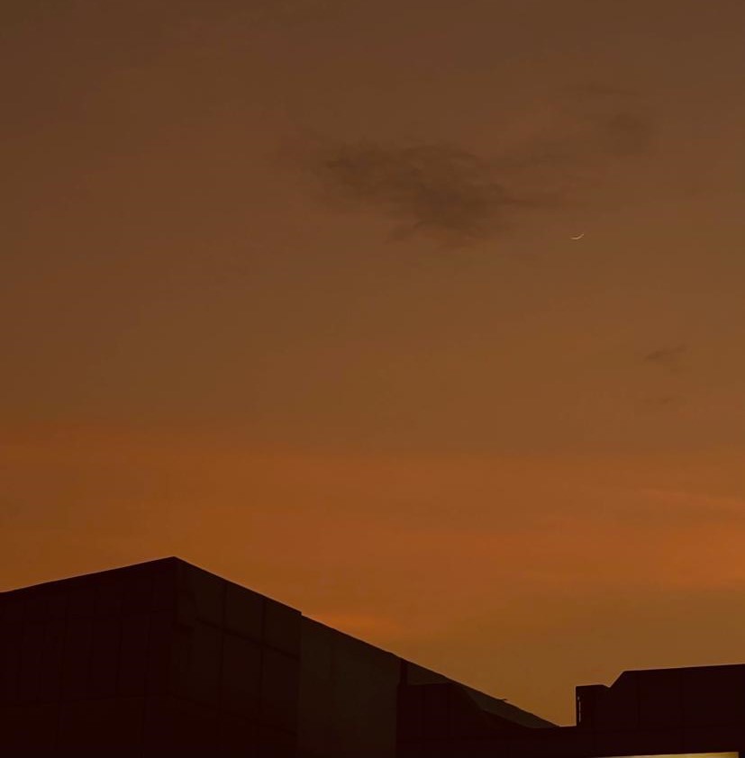 FREELANCE DIGITAL MARKETER IN CALICUT